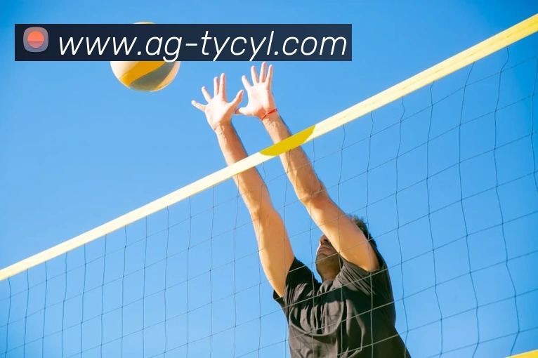 太阳城娱乐APP 封面图